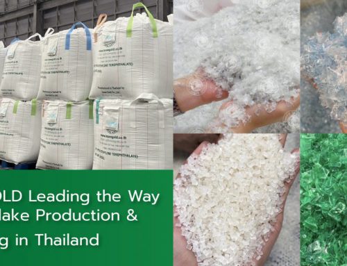 INSEEGOLD Leading the Way in PET Flake Production & Recycling in Thailand