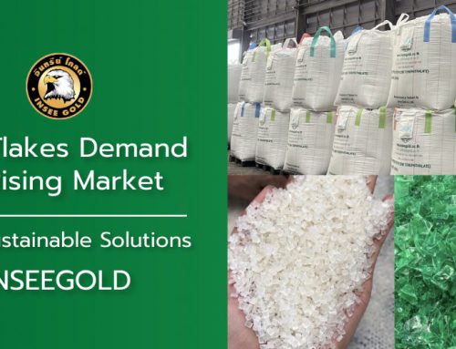 PET Flakes Demand A Rising Market with Sustainable Solutions | INSEEGOLD