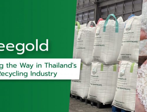 Inseegold Leading the Way in Thailand’s Recycling Industry