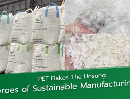 PET Flakes The Unsung Heroes of Sustainable Manufacturing